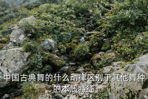 古典舞基本韵律有哪些，中国古典舞声韵基本原则是什么