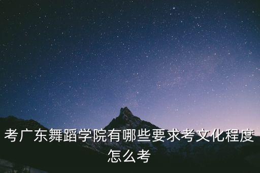 考广东舞蹈学院有哪些要求考文化程度怎么考