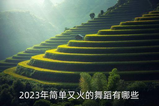 最火的舞蹈简单易学2023，简单易学的热舞