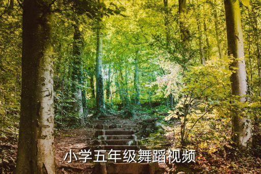 小学跳舞视频大全简单又好看，谁有适合小学生跳的舞蹈视频