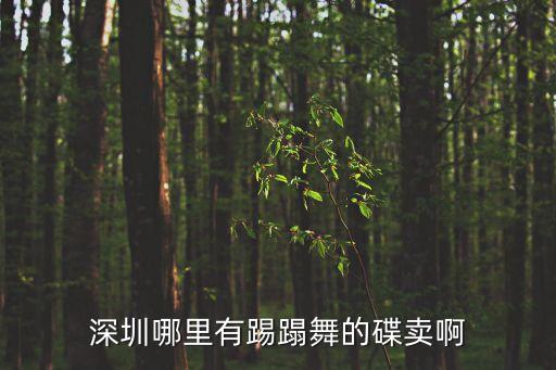 深圳哪里有踢蹋舞的碟卖啊