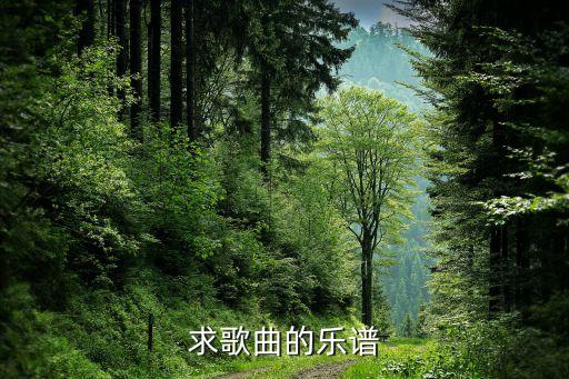 求歌曲的乐谱