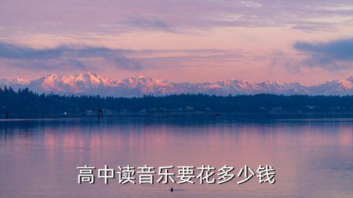 高中读音乐要花多少钱