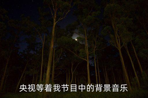 等着我放的什么曲子，央视等着我节目中的背景音乐