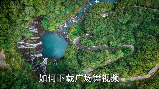 如何下载广场舞视频