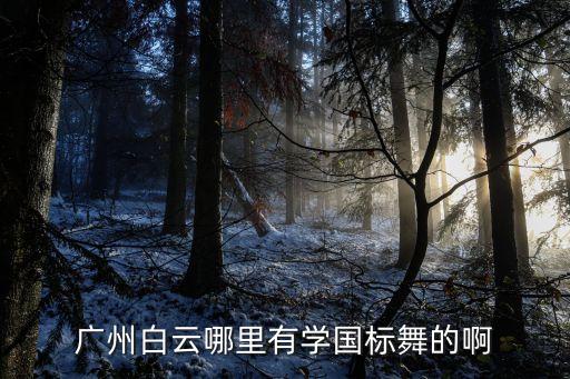 广州哪里学国标舞，广州白云哪里有学国标舞的啊