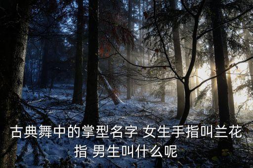 古典舞中的掌型名字 女生手指叫兰花指 男生叫什么呢