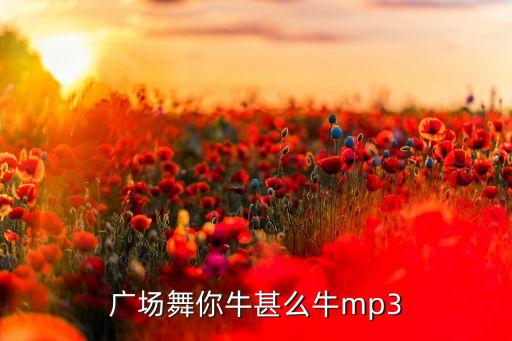 广场舞你牛甚么牛mp3