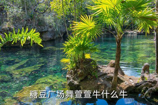 糖豆广场舞萱萱牛什么牛