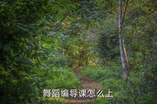 怎么上好舞蹈试听课，第一节舞蹈课怎么上