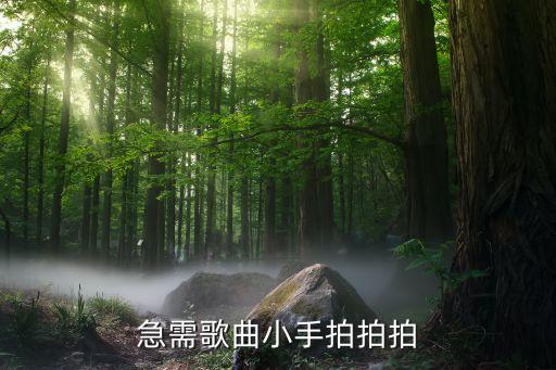 急需歌曲小手拍拍拍