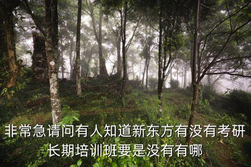 非常急请问有人知道新东方有没有考研长期培训班要是没有有哪