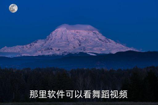 那里软件可以看舞蹈视频