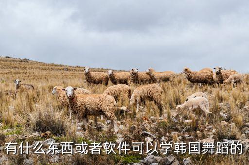 有什么东西或者软件可以学韩国舞蹈的