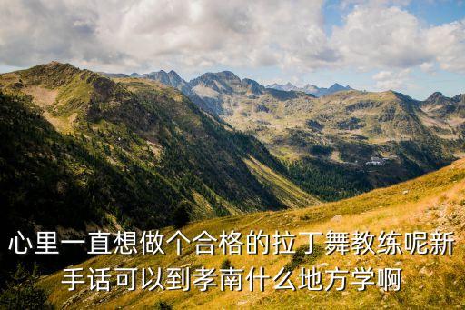 心里一直想做个合格的拉丁舞教练呢新手话可以到孝南什么地方学啊