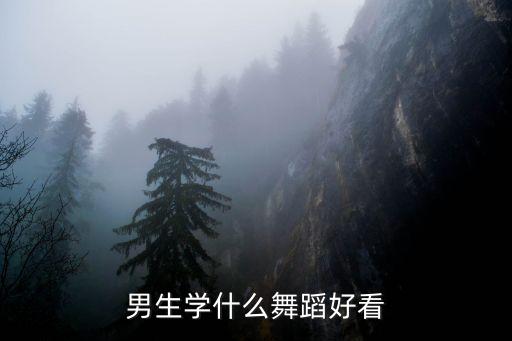 男士舞蹈视频简单易学好看中国，男生学什么舞蹈好看