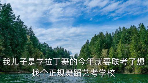 我儿子是学拉丁舞的今年就要联考了想找个正规舞蹈艺考学校