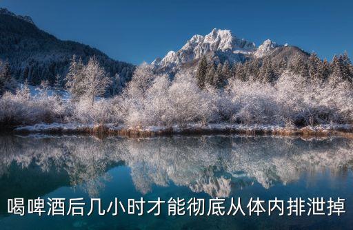 喝啤酒后几小时才能彻底从体内排泄掉