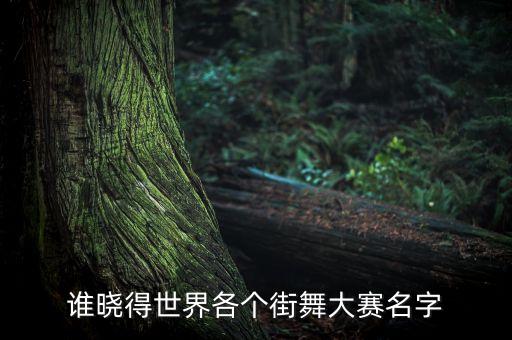 谁晓得世界各个街舞大赛名字