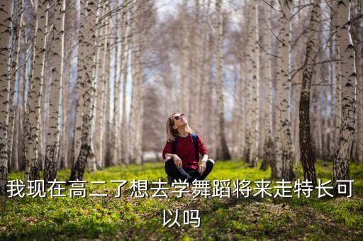 我现在高二了想去学舞蹈将来走特长可以吗