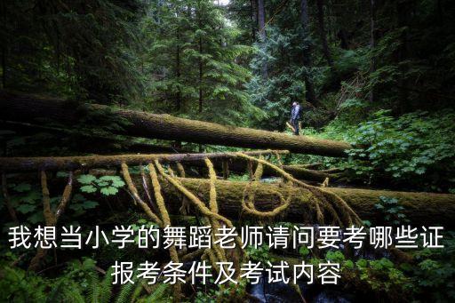 我想当小学的舞蹈老师请问要考哪些证报考条件及考试内容