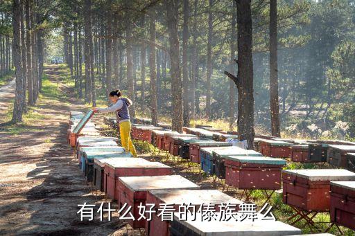有什么好看的傣族舞么
