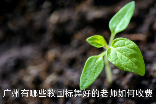 广州有哪些教国标舞好的老师如何收费