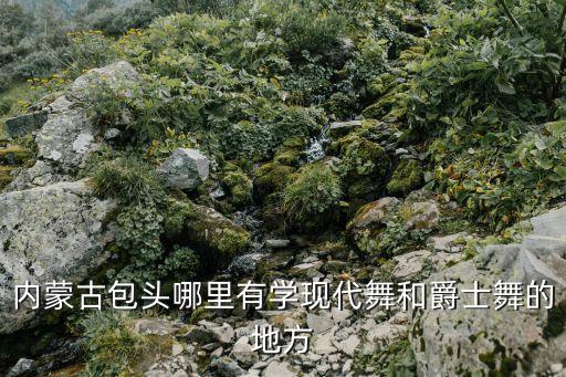 包头舞蹈艺考培训机构，内蒙古包头哪里有学现代舞和爵士舞的地方