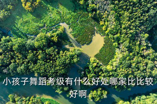 幼儿舞蹈七级有什么，幼儿民间舞考级有什么用