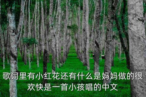歌词里有小红花还有什么是妈妈做的很欢快是一首小孩唱的中文