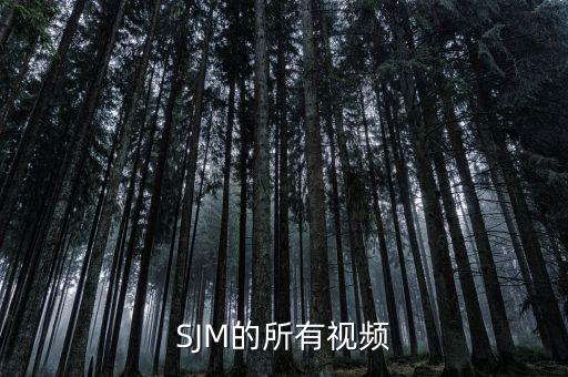 SJM的所有视频