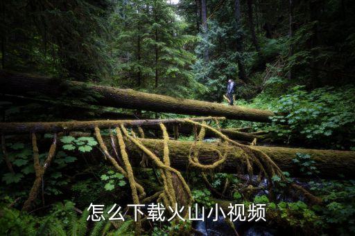 抖音火山版免费下载1，苹果手机怎么下载抖音火山老版