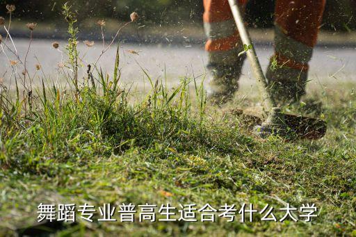 舞蹈专业普高生适合考什么大学