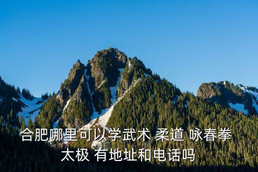 合肥哪里可以学武术 柔道 咏春拳 太极 有地址和电话吗
