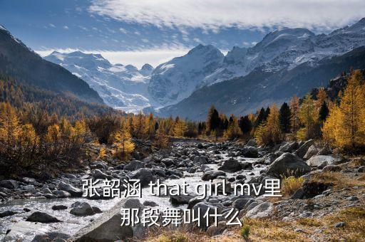 完整的舞叫什么，福特韦根舞蹈