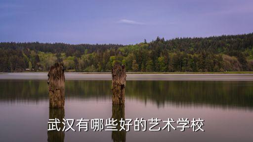 武汉有哪些好的艺术学校
