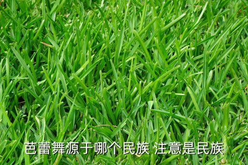芭蕾舞源于哪个民族 注意是民族