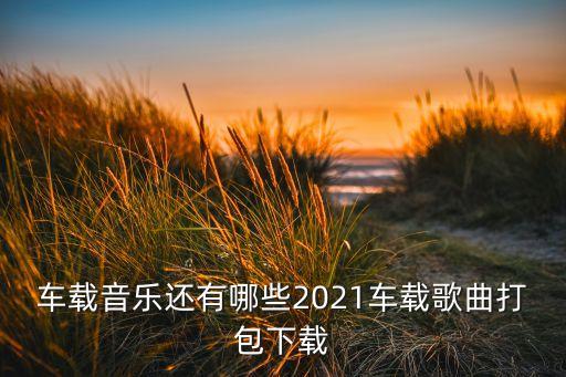 车载音乐还有哪些2021车载歌曲打包下载