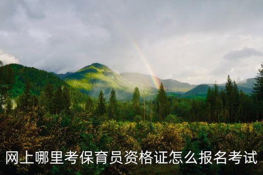 河北省保育员证报名入口官网，保育员怎么报考啊