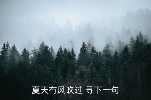 夏天冇风吹过 寻下一句
