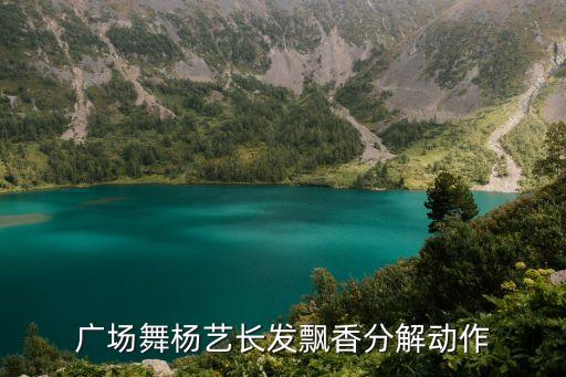 广场舞杨艺长发飘香分解动作