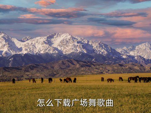 你拽什么拽 广场舞 舞曲下载，哪里可以下载免费的广场舞舞曲
