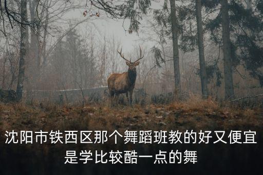 沈阳市铁西区那个舞蹈班教的好又便宜是学比较酷一点的舞