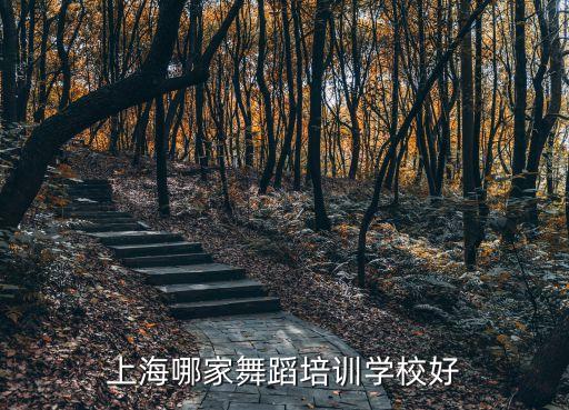 上海哪家舞蹈培训学校好
