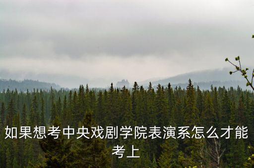 如果想考中央戏剧学院表演系怎么才能考上