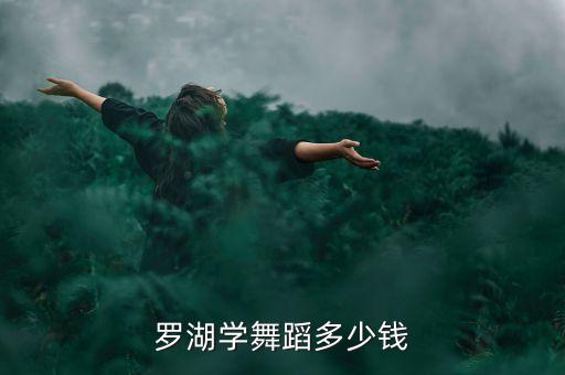 罗湖学舞蹈多少钱