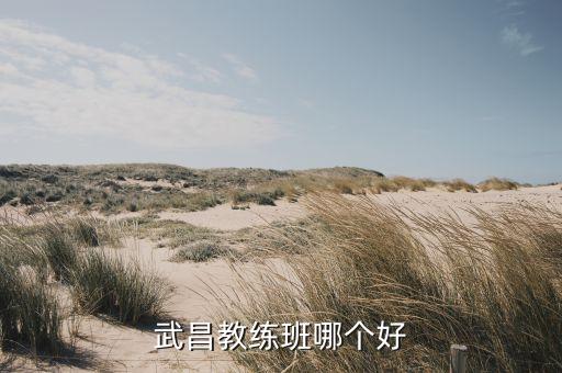 武昌教练班哪个好