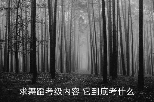 12级考级舞蹈有哪些，芭蕾考级一共几级