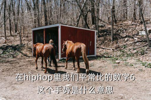 在hiphop里我们平常比的数字6这个手势是什么意思