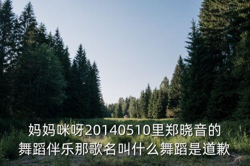 妈妈咪呀20140510里郑晓音的舞蹈伴乐那歌名叫什么舞蹈是道歉